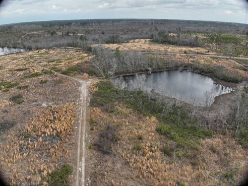 Tarrytown Recreation Tract : Tarrytown : Treutlen County : Georgia