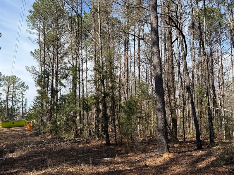 Wire Road Acreage : Notasulga : Macon County : Alabama