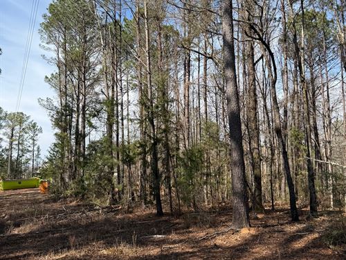 Wire Road Acreage : Notasulga : Macon County : Alabama