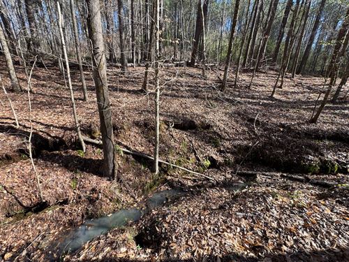 11 Acres on Hwy 49, Tallassee : Tallassee : Tallapoosa County : Alabama