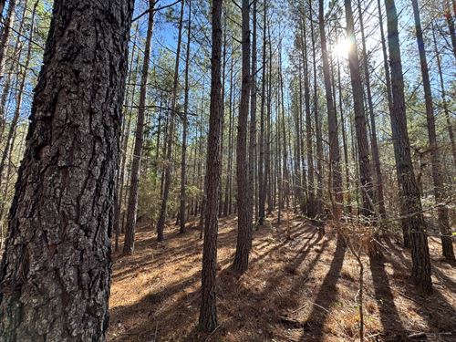 11 Acres on Hwy 49, Tallassee : Tallassee : Tallapoosa County : Alabama