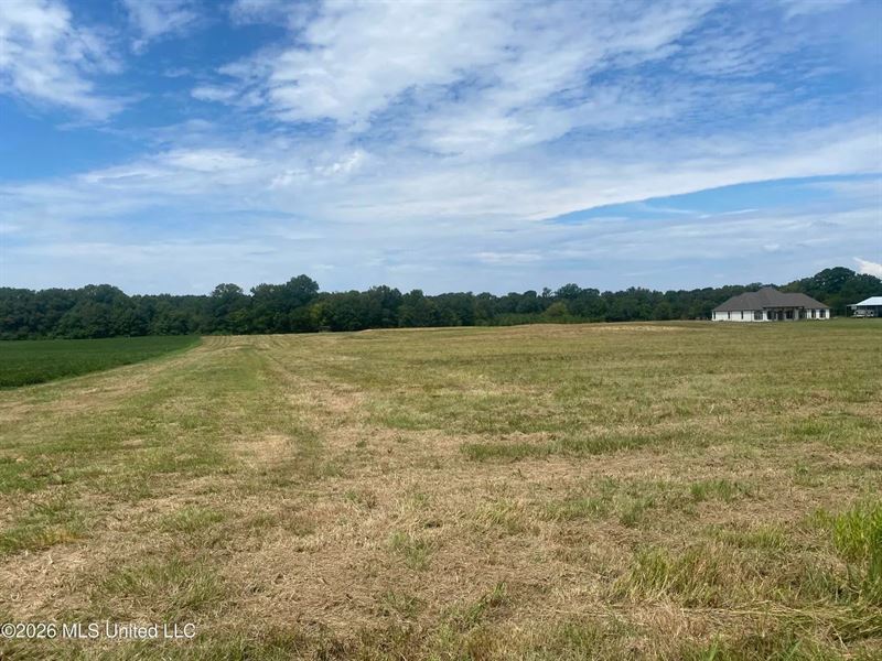 17 Acre Estate Lot in Pelahatchie : Pelahatchie : Rankin County : Mississippi