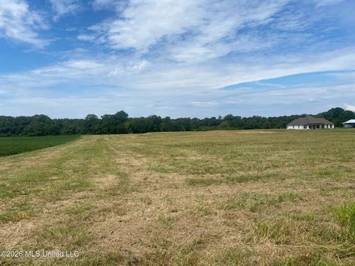 17 Acre Estate Lot in Pelahatchie : Pelahatchie : Rankin County : Mississippi