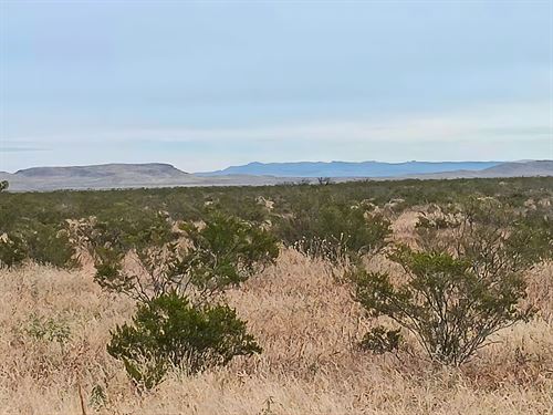 No Zoning in Texas, 11.4 Ac Ranch : Salt Flat : Culberson County : Texas