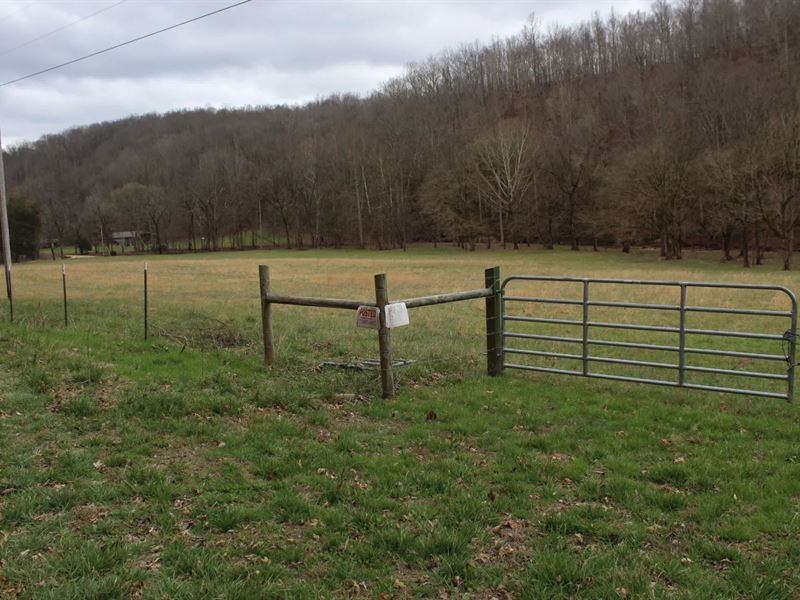 174.17 Acres with a Shop in Wayne : Collinwood : Wayne County : Tennessee
