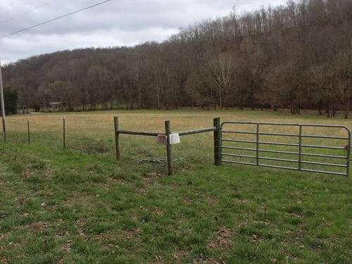 174.17 Acres With a Shop in Wayne : Collinwood : Wayne County : Tennessee