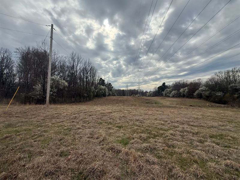 58.2 Acres in Shelby County, TN : Memphis : Shelby County : Tennessee