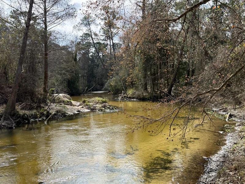 22.79 Acres in Baldwin County, AL : Fairhope : Baldwin County : Alabama