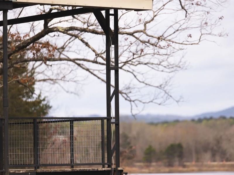 A Home on 48.42 Acres in Montgomery : Oden : Montgomery County : Arkansas