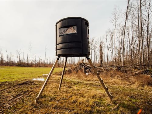 A Cabin on 1,486 Acres in Hardeman : Pocahontas : Hardeman County : Tennessee