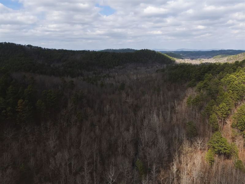 194 Acres in Polk County, AR : Mena : Polk County : Arkansas