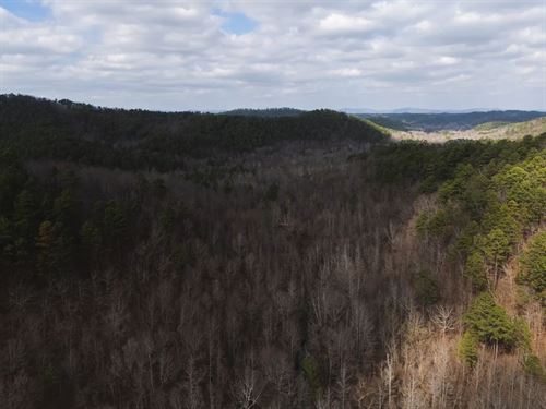 194 Acres in Polk County, AR : Mena : Polk County : Arkansas