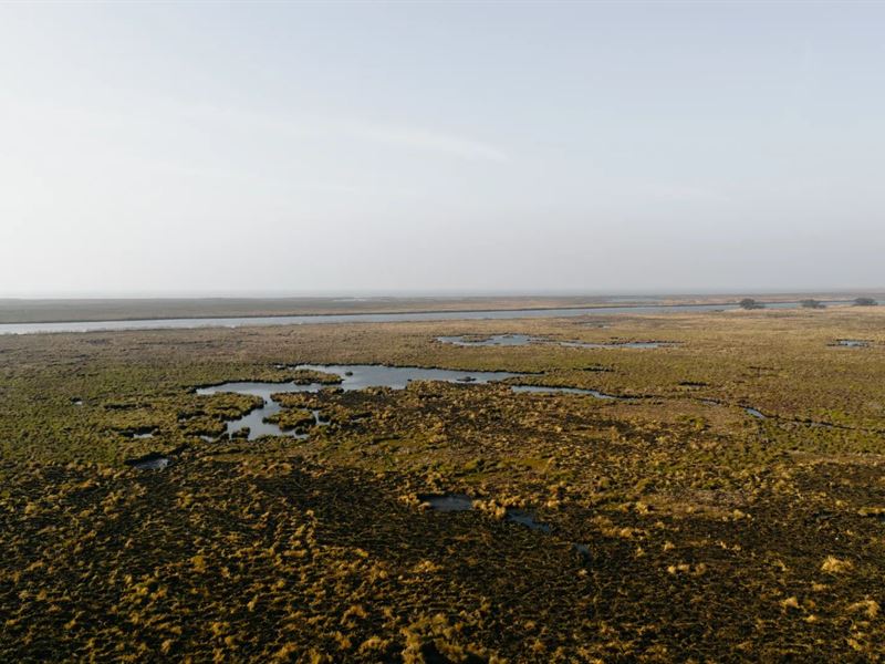 505 Acres in Iberia Parish, LA : Delcambre : Iberia Parish : Louisiana