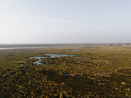 505 Acres in Iberia Parish, LA : Delcambre : Iberia Parish : Louisiana