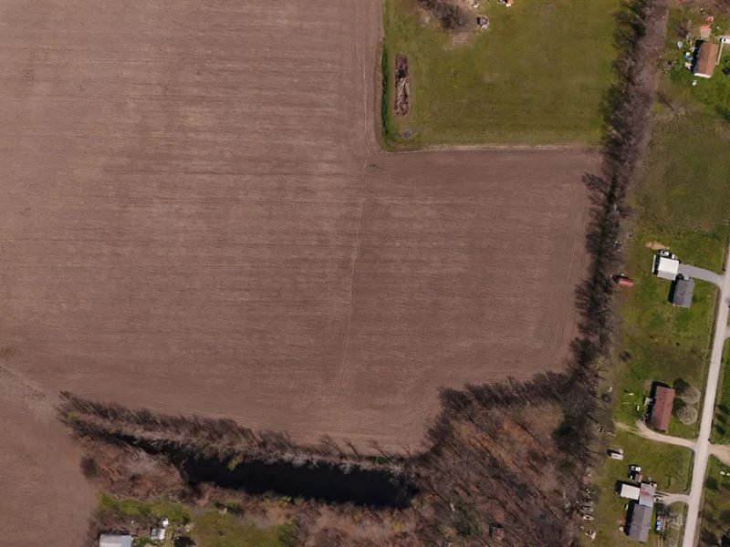 16.6 Acres in Washington County, MS : Greenville : Washington County : Mississippi