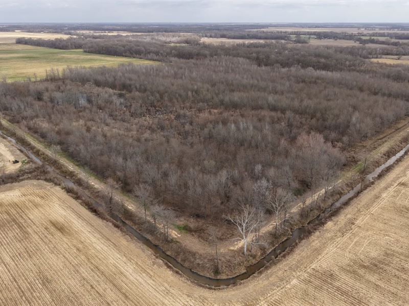 46.3 Acres in Chicot County, AR : Eudora : Chicot County : Arkansas