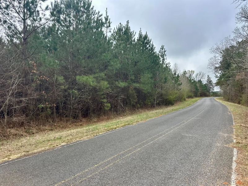 20 Acres in Lincoln County, MS : Brookhaven : Lincoln County : Mississippi