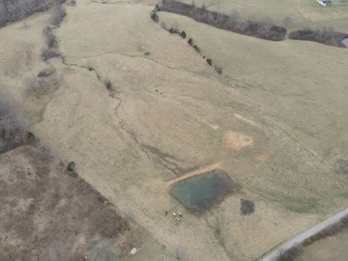 50 Acres in Bledsoe County, TN : Pikeville : Bledsoe County : Tennessee