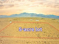 Build or Camp Here : Dolan Springs : Mohave County : Arizona