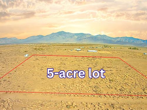 Build or Camp Here : Dolan Springs : Mohave County : Arizona