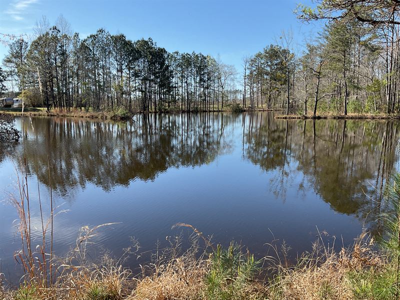 Nixon Road 65 Acres with Pond : McKenzie : Butler County : Alabama