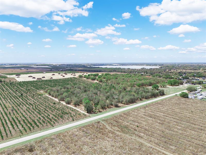 9.65 Acres on Friedlander Rd : Lake Wales : Polk County : Florida