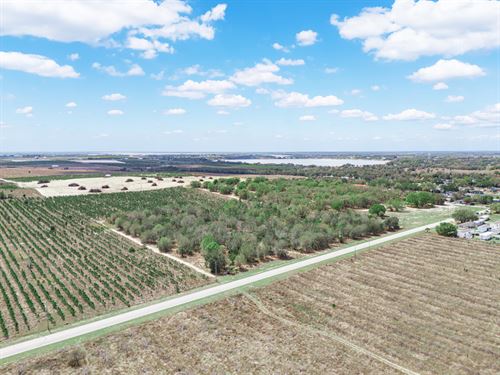 9.65 Acres on Friedlander Rd : Lake Wales : Polk County : Florida