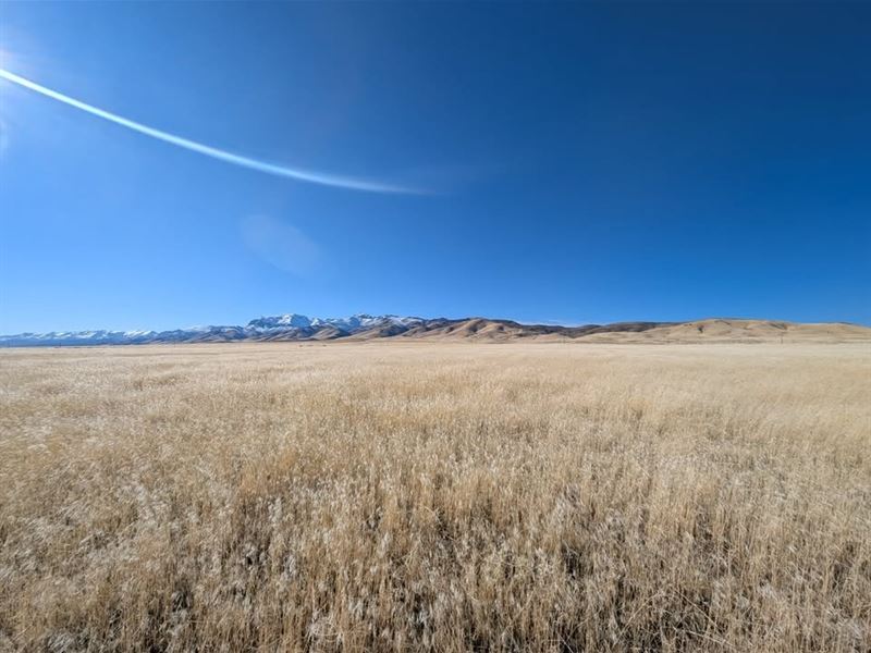 Beautiful Off Grid Lot in Nevada : Imlay : Pershing County : Nevada