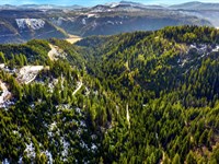 Acreage Saint Joe River in N. Idaho : Saint Maries : Benewah County : Idaho