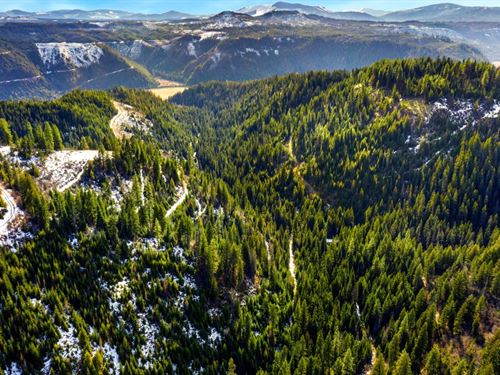 Acreage Saint Joe River in N. Idaho : Saint Maries : Benewah County : Idaho