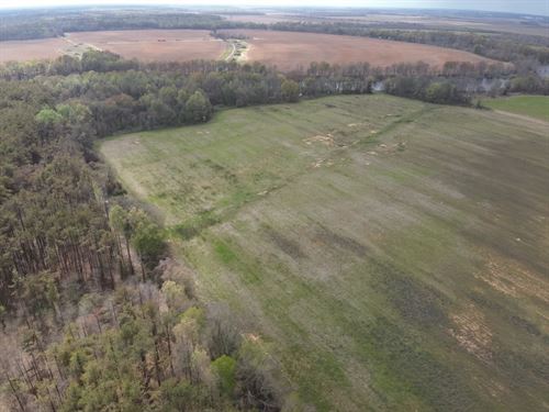 La, Morehouse 70 Acres : Mer Rouge : Morehouse Parish : Louisiana