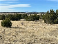 Lot 122 Ghost River Ranch, Rye, CO : Rye : Huerfano County : Colorado