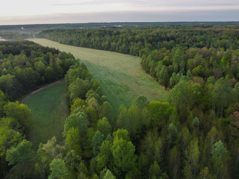 Scotts Hill Farm with Tillable : Scotts Hill : Henderson County : Tennessee