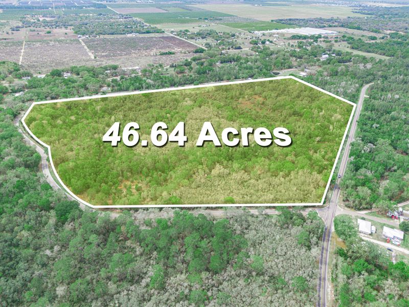 47 Scenic Wooded Acres Trails : Lake Wales : Polk County : Florida