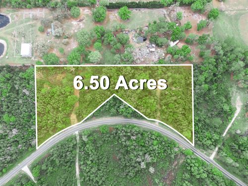 Timberlane Road 6.5 Acres : Lake Wales : Polk County : Florida