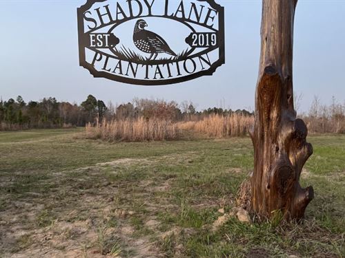 Shady Lane Plantation : Sylvania : Screven County : Georgia