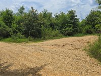 9,69 Acres in Cleveland County, AR : Rison : Cleveland County : Arkansas