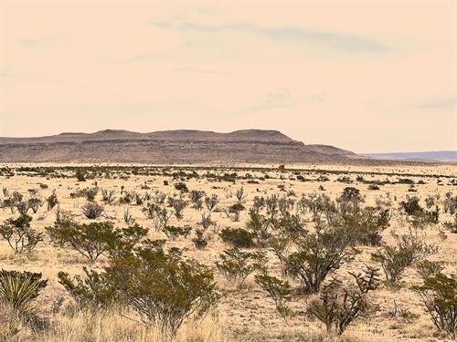20 Acres Texas Dark Sky Ranch : Sierra Blanca : Hudspeth County : Texas
