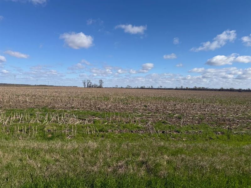 Ar, Ashley and Chicot 1044 Acres : Portland : Ashley County : Arkansas