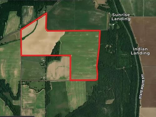 La, Franklin 184 Acres : Crowville : Franklin Parish : Louisiana