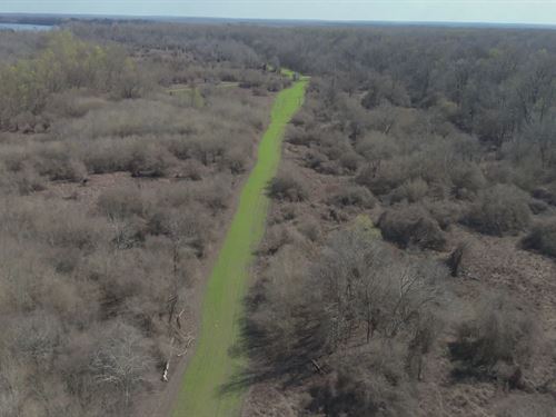 La, Tensas 400 Acres : Newellton : Tensas Parish : Louisiana