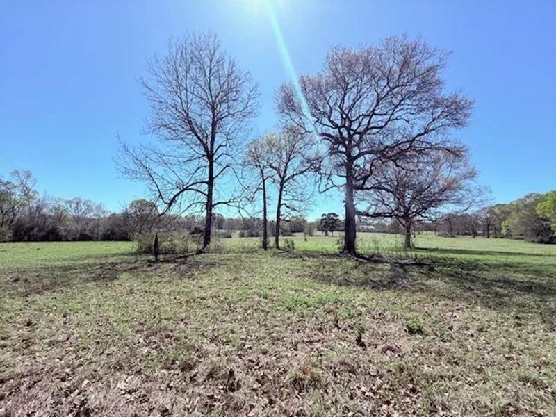36.29 Acres of Pastureland, Kentwo : Kentwood : Tangipahoa Parish : Louisiana