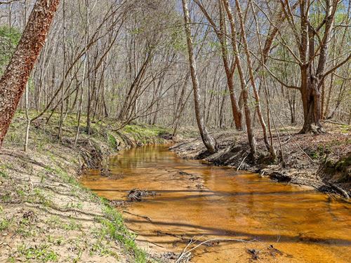 Spring Creek Farm : Sparta : Hancock County : Georgia