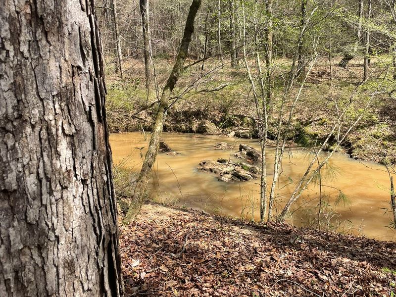 40 Ac. Upson Co : Roberta : Upson County : Georgia