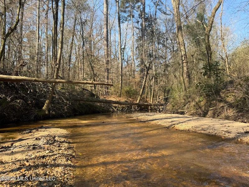 Land for Sale in Simpson County : Pinola : Simpson County : Mississippi