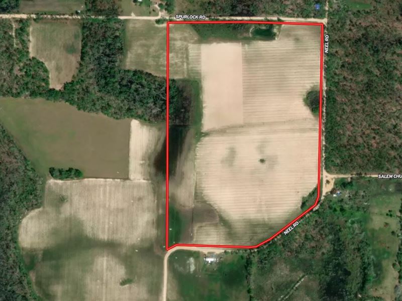 65 Acres Near Lake Seminole : Grand Ridge : Jackson County : Florida