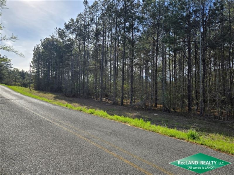 12.8 ac, Wooded Tract for Home : West Monroe : Ouachita Parish : Louisiana