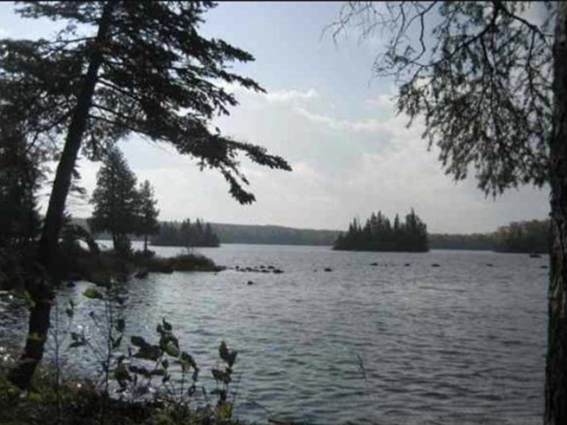 Private 10 Acres on Water in The UP : Michigamme : Baraga County : Michigan