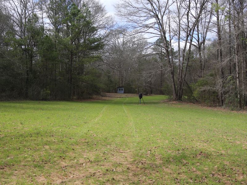 Hunting/Timberland Near Prattville : Prattville : Autauga County : Alabama
