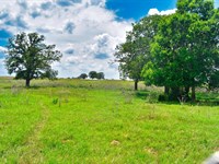 11.92 Acres in Caldwell County, TX : Luling : Caldwell County : Texas